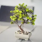 Forest פודגוריצה